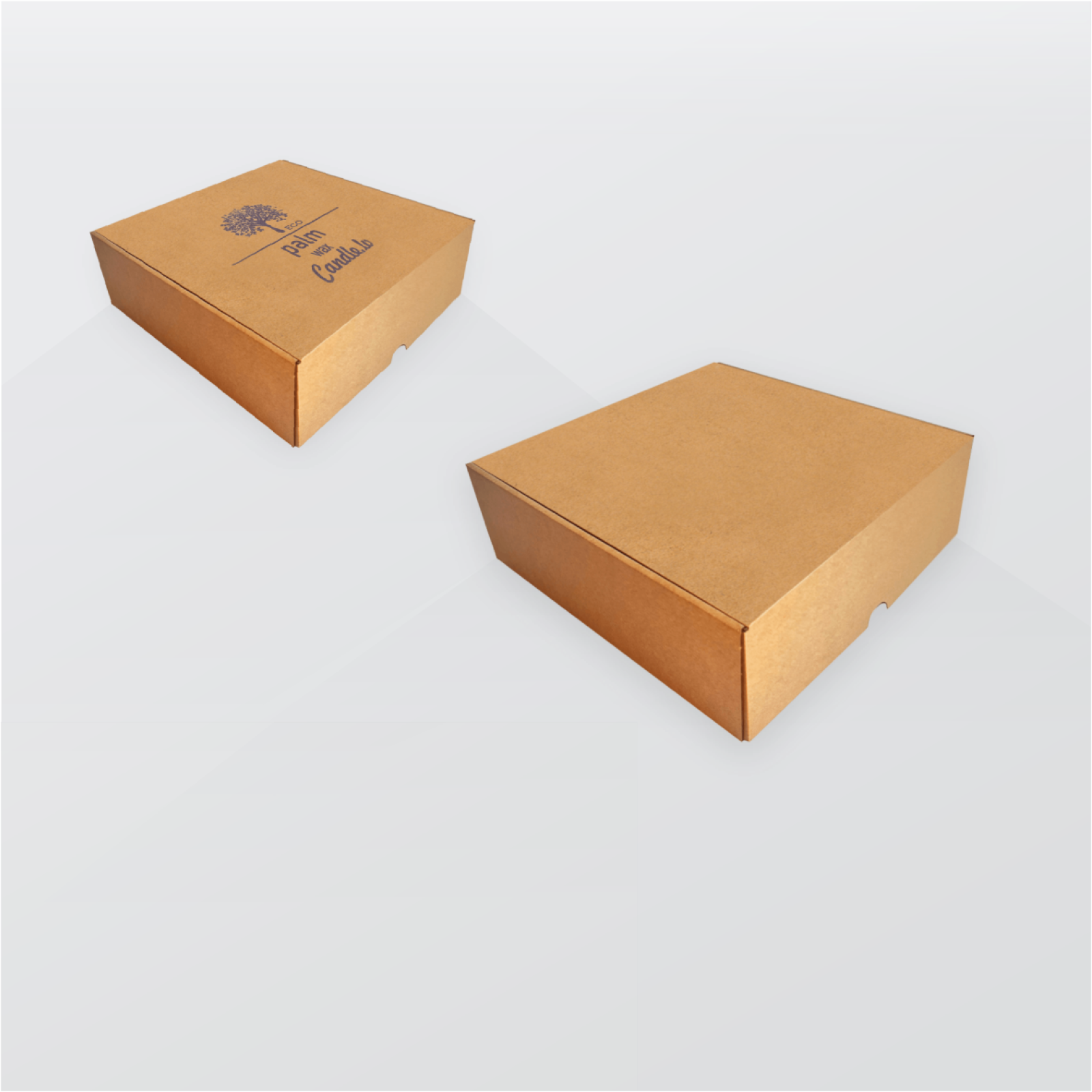 Transport-box-F427-Transportesanas-kaste