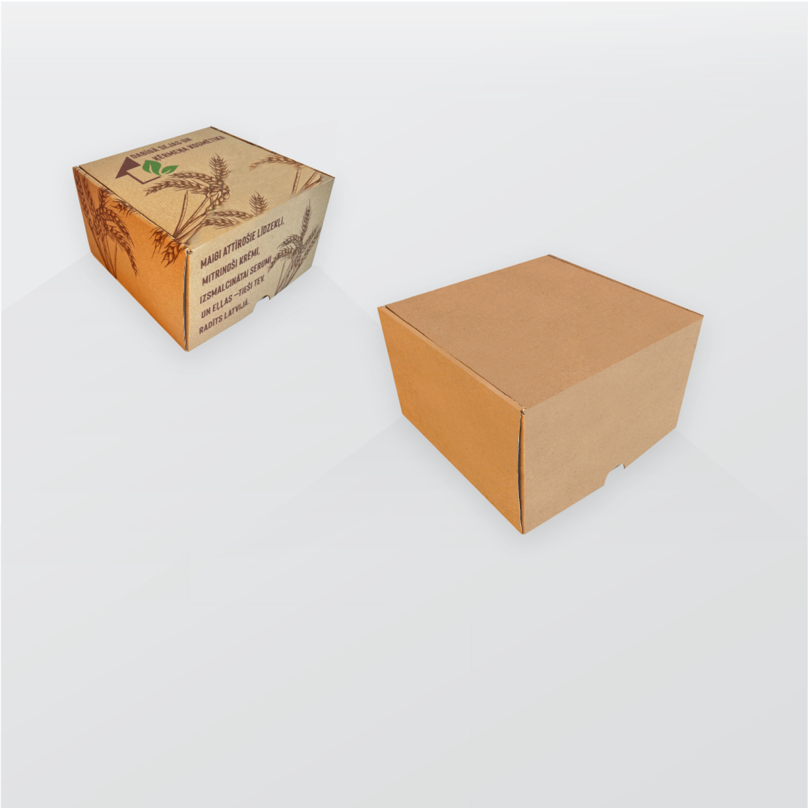 Transport-box-F427-Transportesanas-kaste