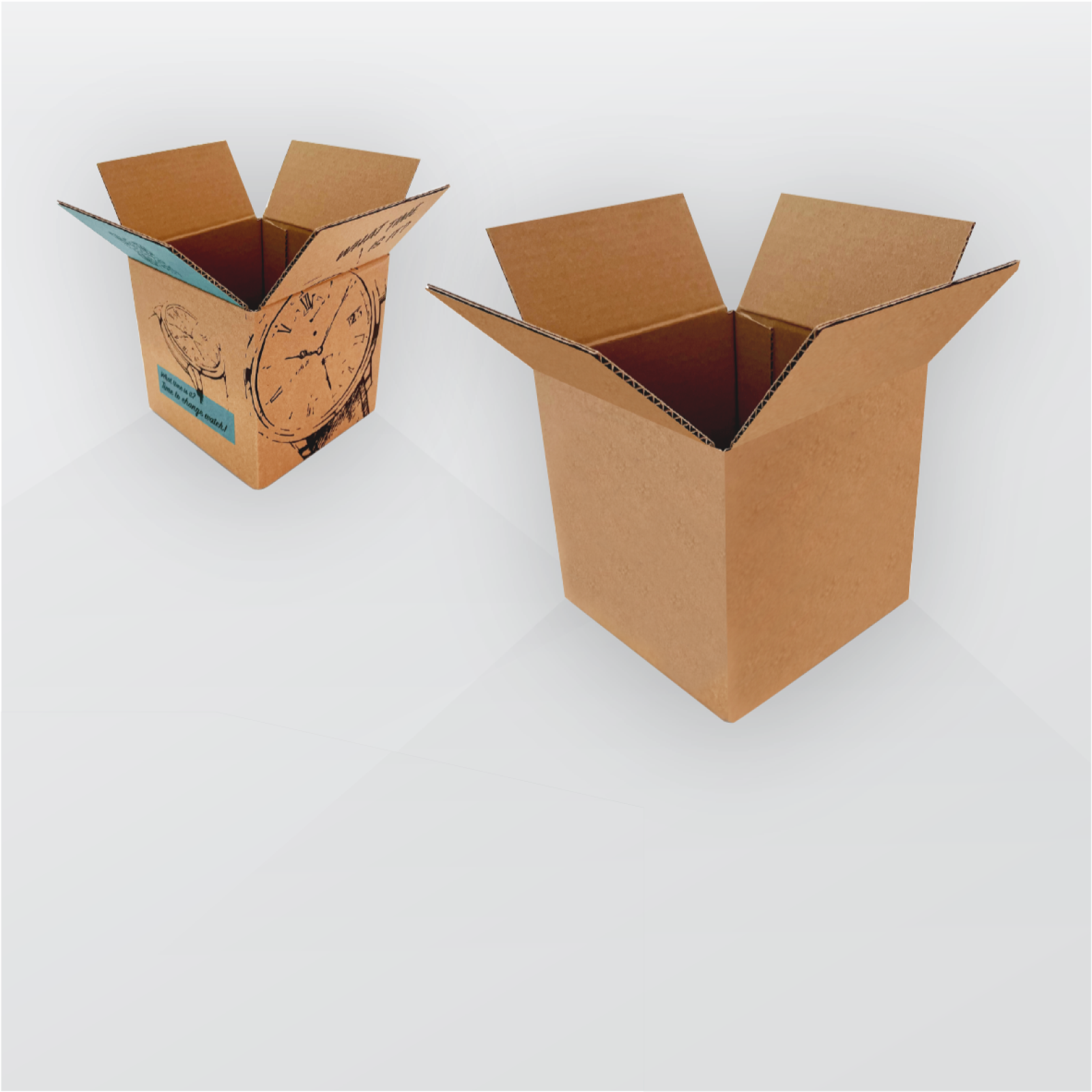 Transport-box-Transportesanas-kaste